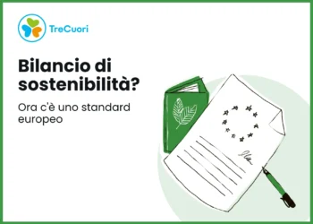 Bilancio di sostenibilità volontario: in vigore il nuovo standard europeo VS