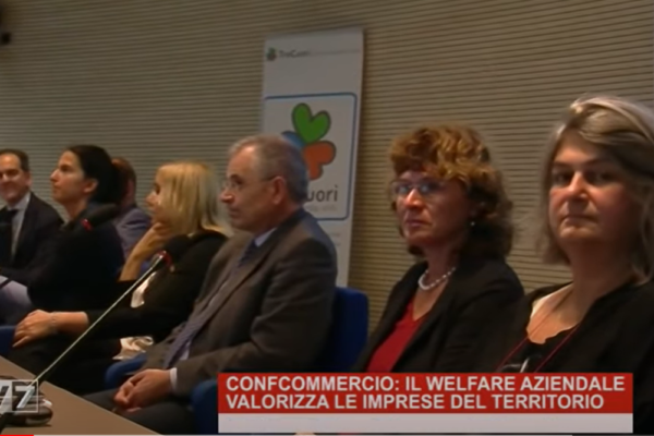 TV7 Convegno Confcommercio Padova 2019